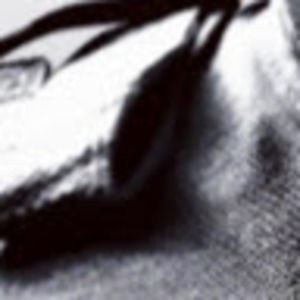 Meet your Posher, Jeffery